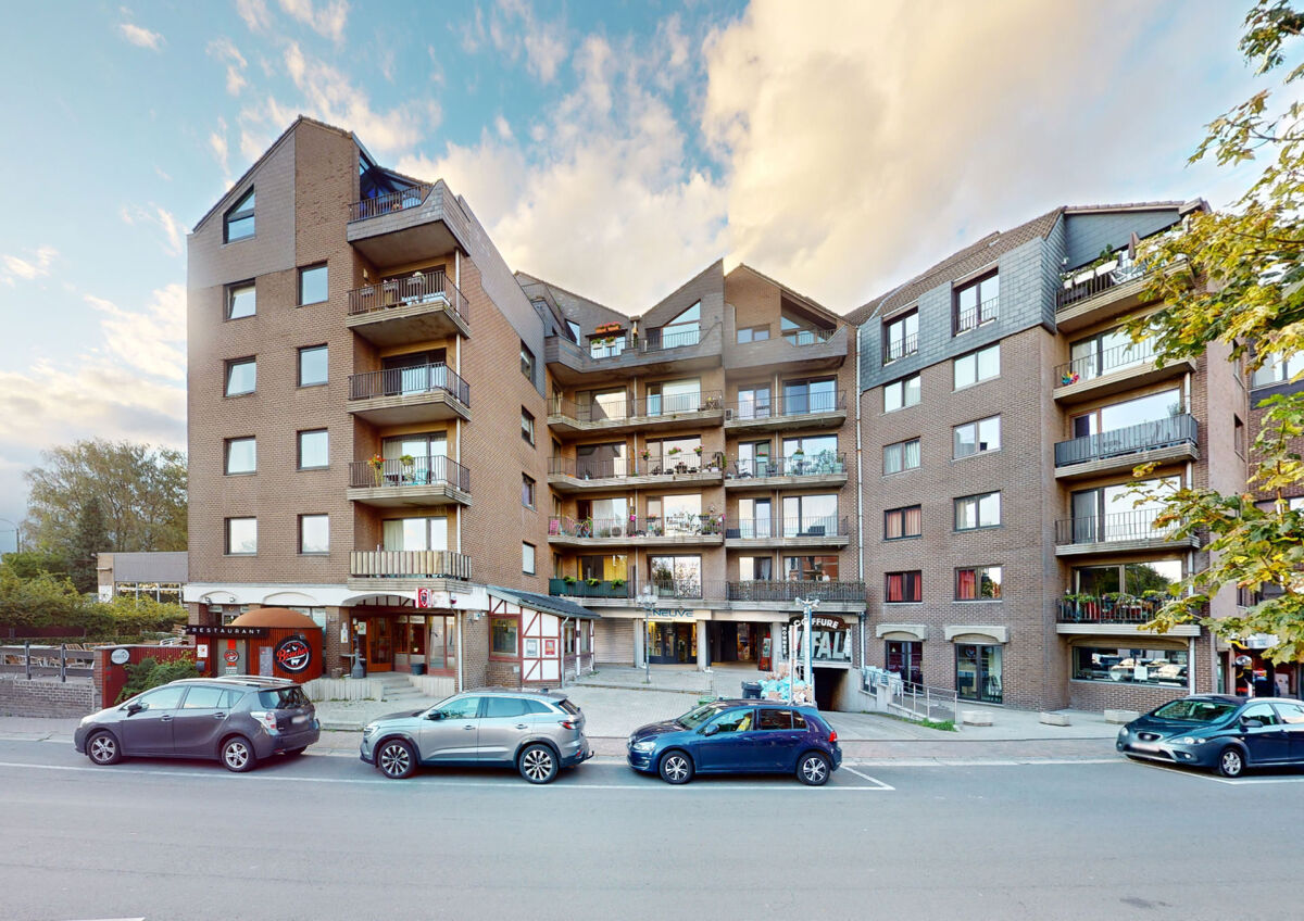 Superbe appartement 1 chambre avec très grande terrasse