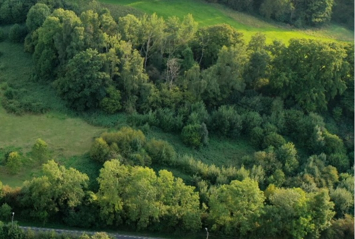Terrain à bâtir à vendre aux portes de Baelen